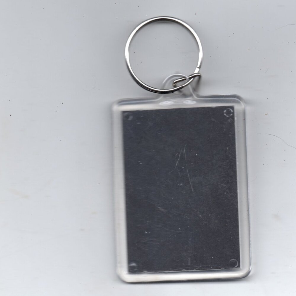 Collectible Postage Stamp Key Ring - Picture 2 of 2